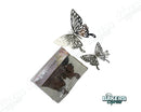 3d Butterfly 12ct